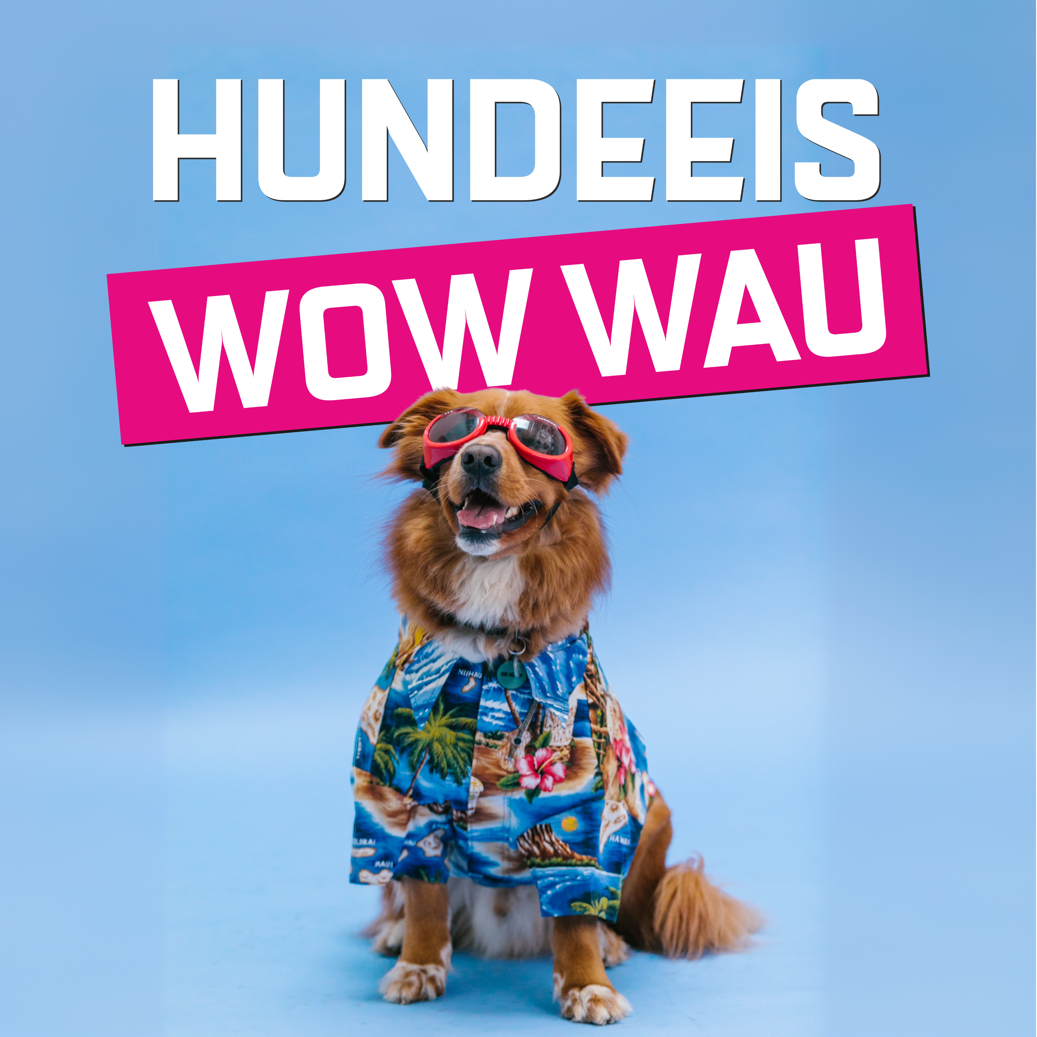 Hundeeis WOW WAU